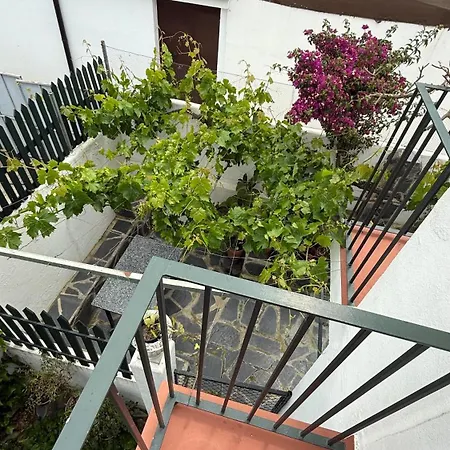 Casa Hierbabuena * El Bosque (Cadiz)